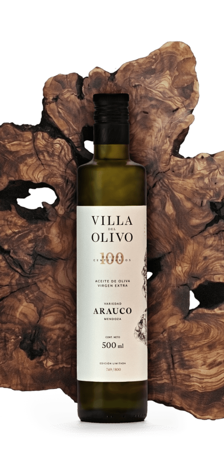 bodegón Villa del Olivo