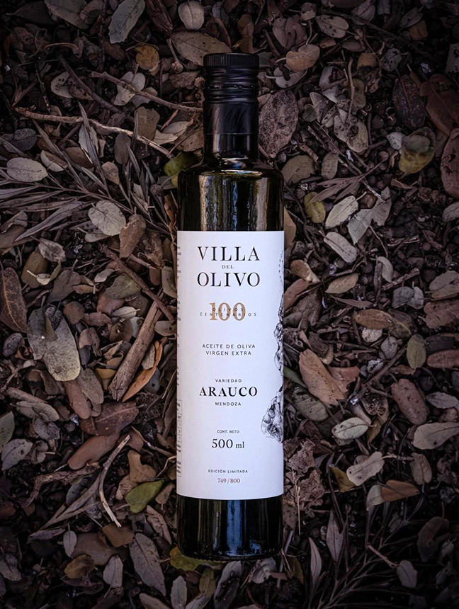 Foto principal Villa del Olivo